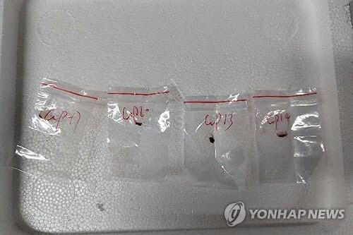 중국인 과학자가 밀반입 시도했던 독성 곰팡이. 미국 미시간 동부연방지방법원 제공. AP=연합뉴스